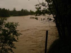 2013-06-02_Regina-F-Rau_Geretsrieder-Stadtbach_Isar (60).JPG